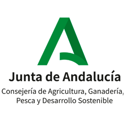 junta-geotur